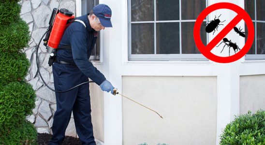 Doğanşar Uçan Haşere İlaçlama böcek ilaçlama ve haşere kontrolü — ilaclama-tr.com